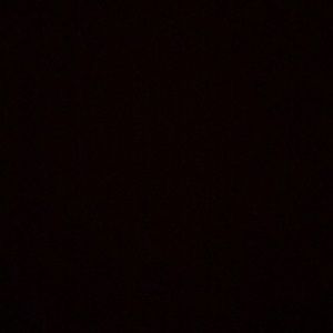 Meet your Posher, Ally